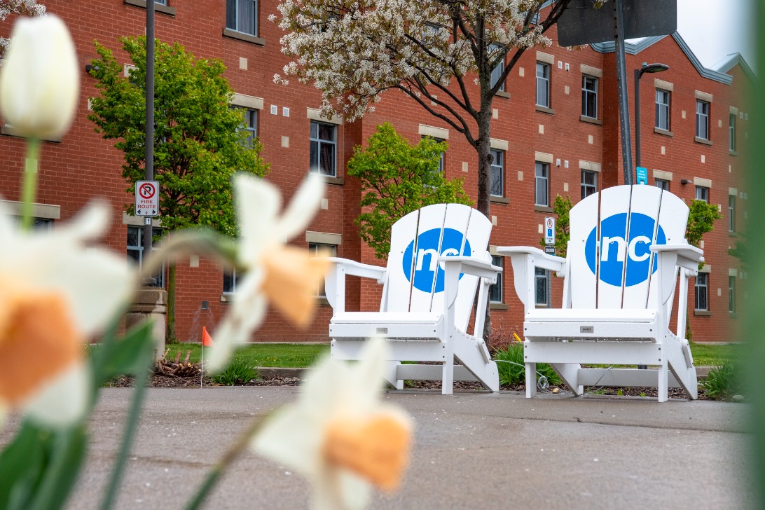 Two white Muskoka chairs with Niagara College "nc" logos are positioned outside a brick building, flowers blooming in the foreground.